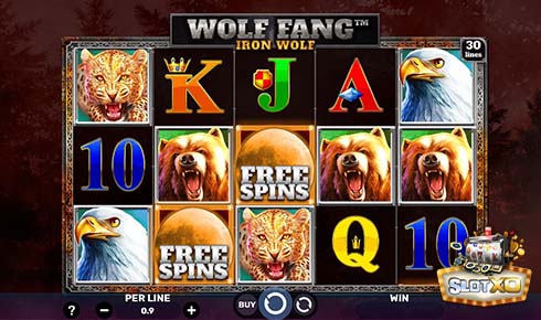 คิงคองxo