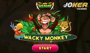 สล็อต โจ๊กเกอร์ 123