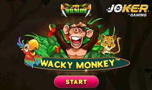 สล็อต โจ๊กเกอร์ 123